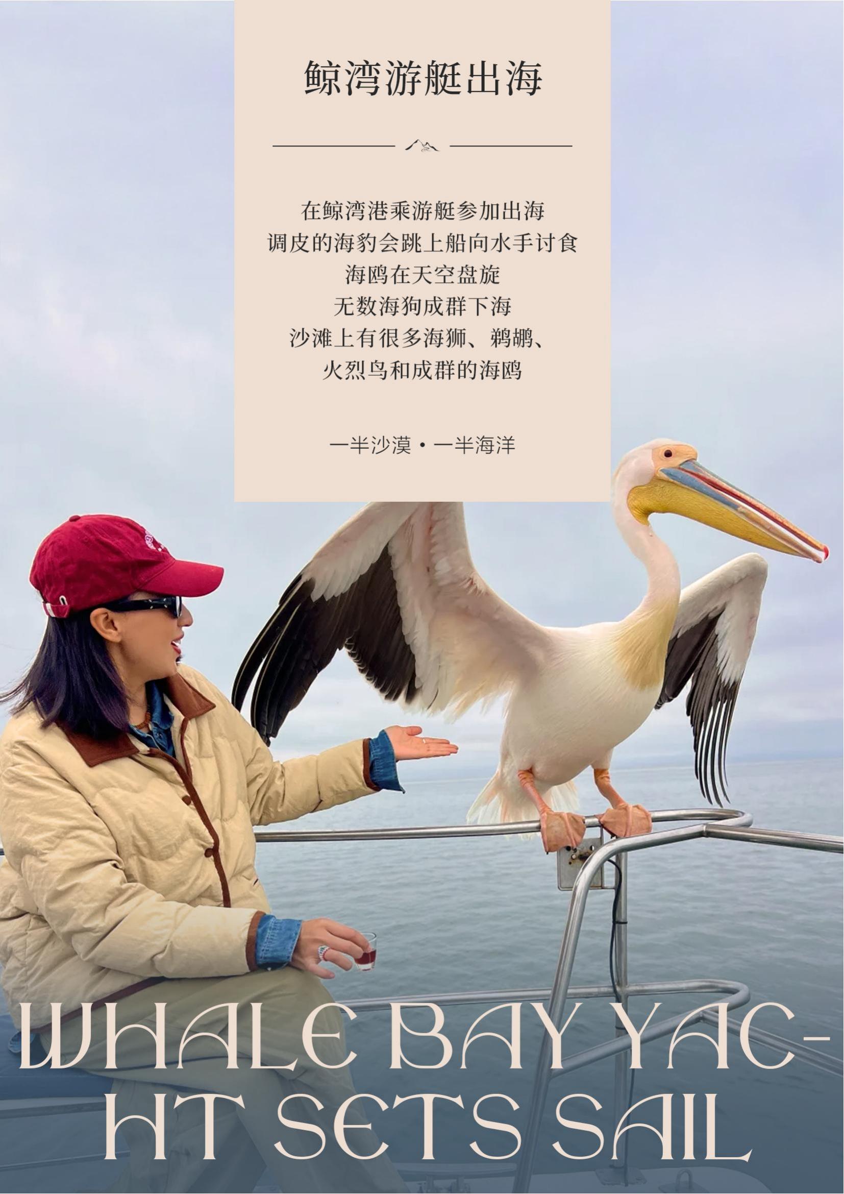 TOPTOUR-（經(jīng)典南部非洲4國(guó)））納米比亞 津巴布韋 贊比亞 博茨瓦納12天(1)_06