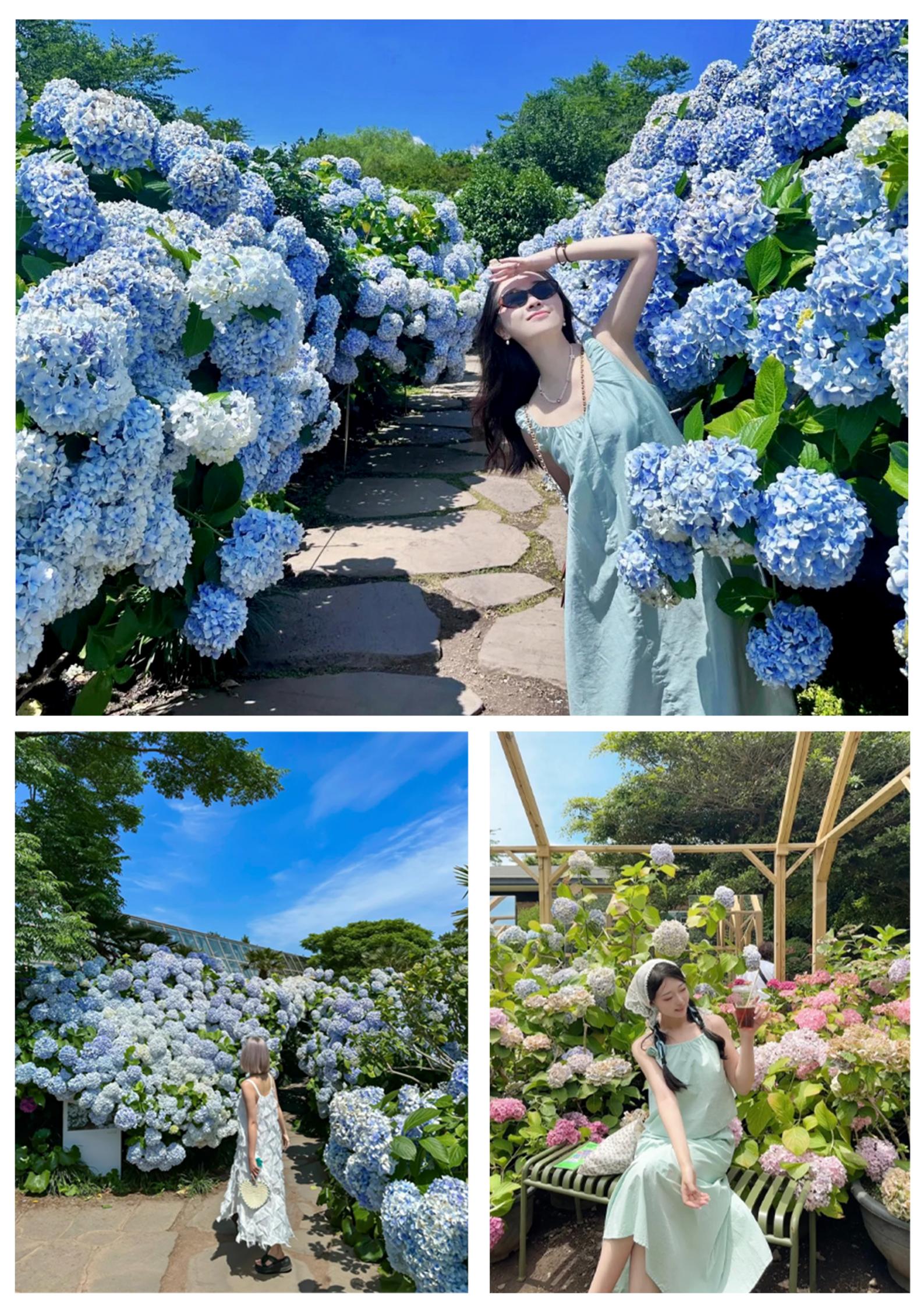 【邂逅濟州島】城山日出峰·漢拿山_04